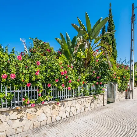 In Tatil Evi